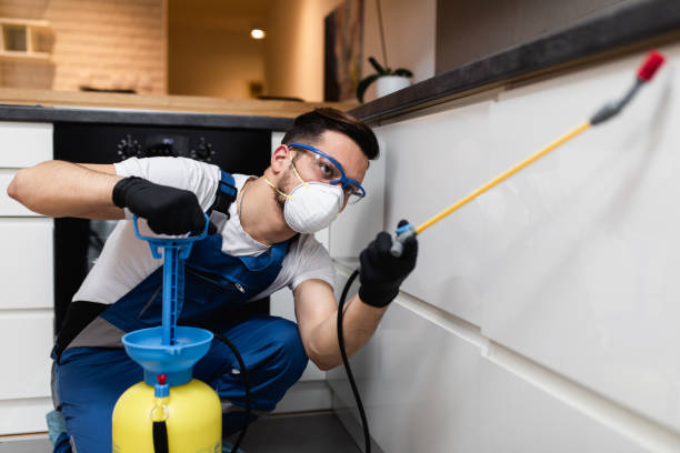 Best Termite Control Services  in Francis, UT