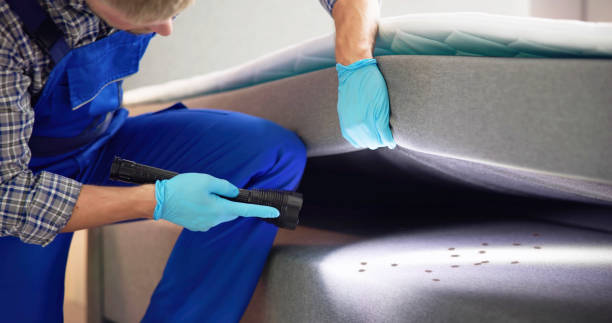 Best Mosquito Control Services  in Francis, UT