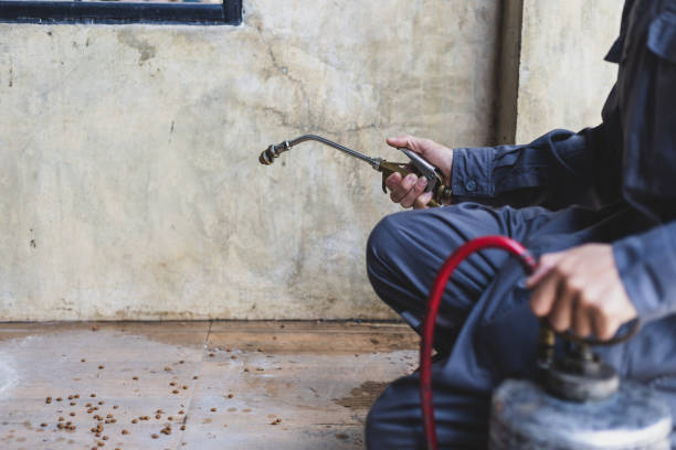 Best Pest Control Treatment  in Francis, UT